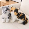 Plush animal cat dolls, realistic plush fat cats, Children's Day toys and gifts, quality guaranteed, wholesale in stock details Picture